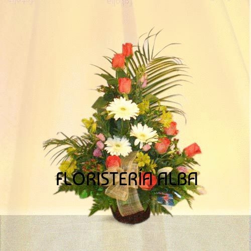 CENTRO VARIADO