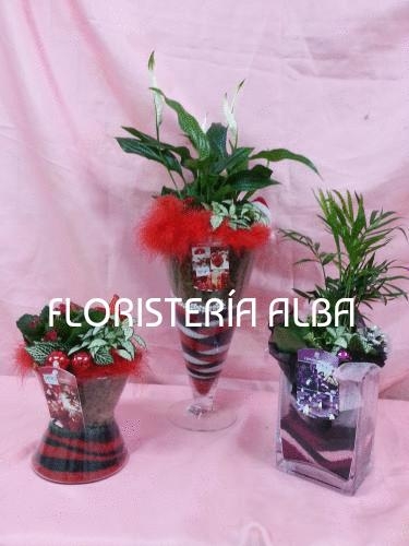 COMPOSICION CRISTAL