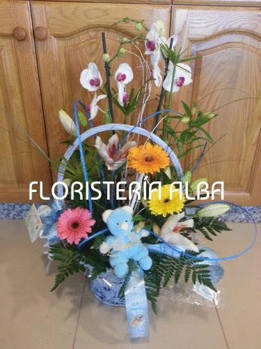 PHALAENOPSIS Y FLOR