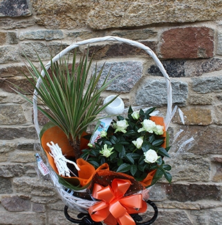 Cesta de plantas 
