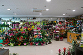 floristeria ferrol