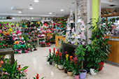 floristeria ferrol